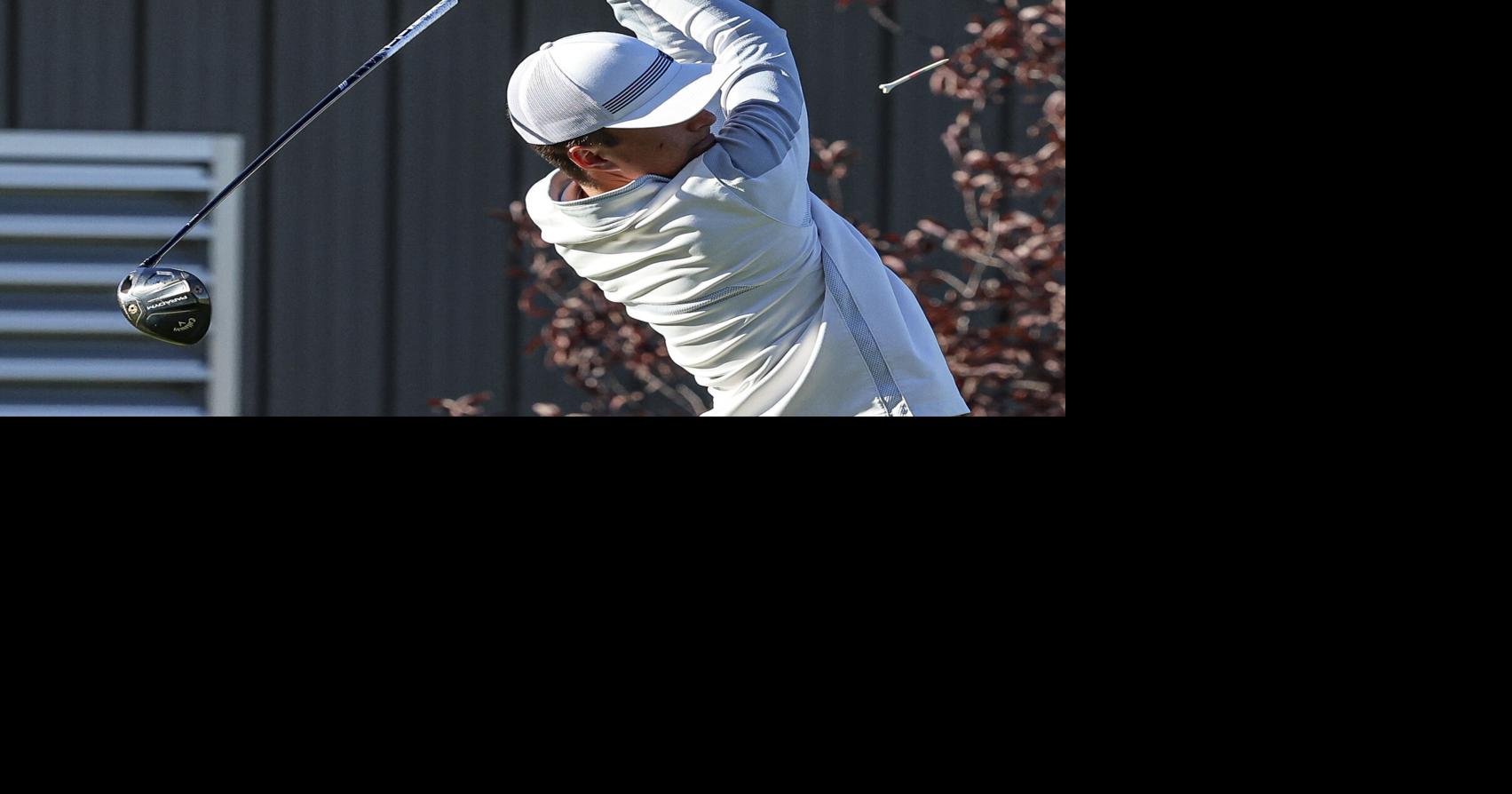 Decatur area has three winners in IHSA golf regionals