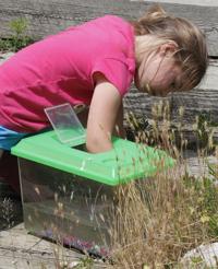 Fish Harvest 9 6.5.14.jpg