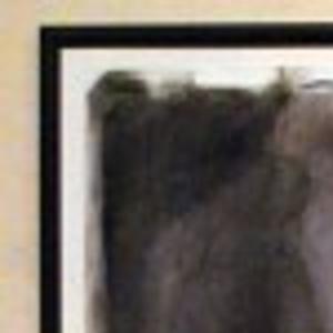 Biennial Drawing Watercolor Illinois Lifestyles Jg Tc Com