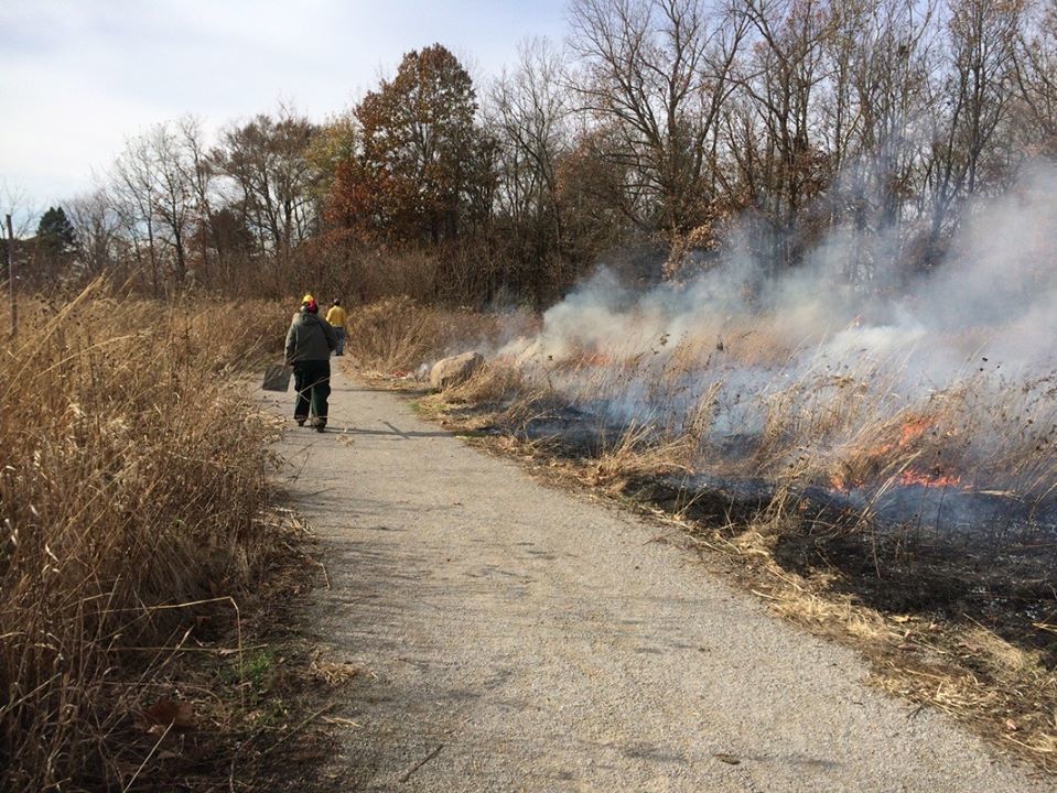 Coles County Soil and Water Conservation District conducts programs