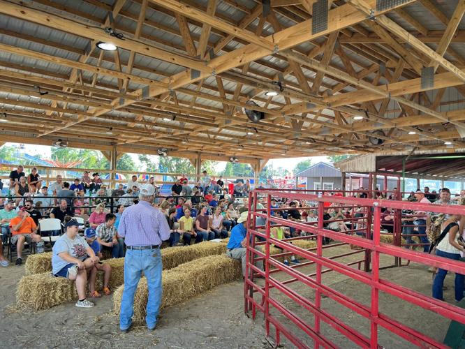 Coles county fair