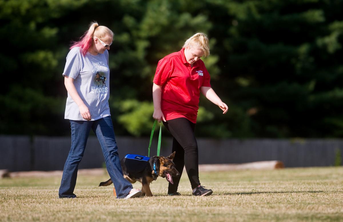 Service Dog Training 07/19/18
