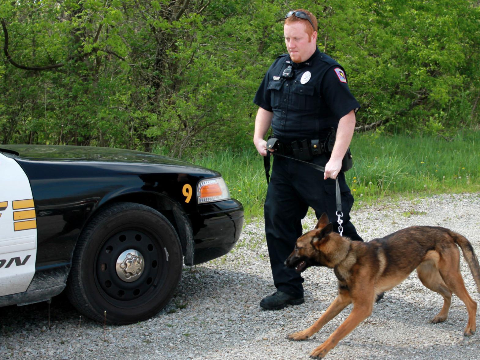 K9 Dog Vito To Join The Cpd Team Soon News Jg Tc Com