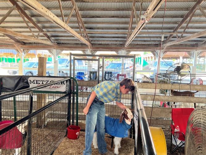 Coles county fair