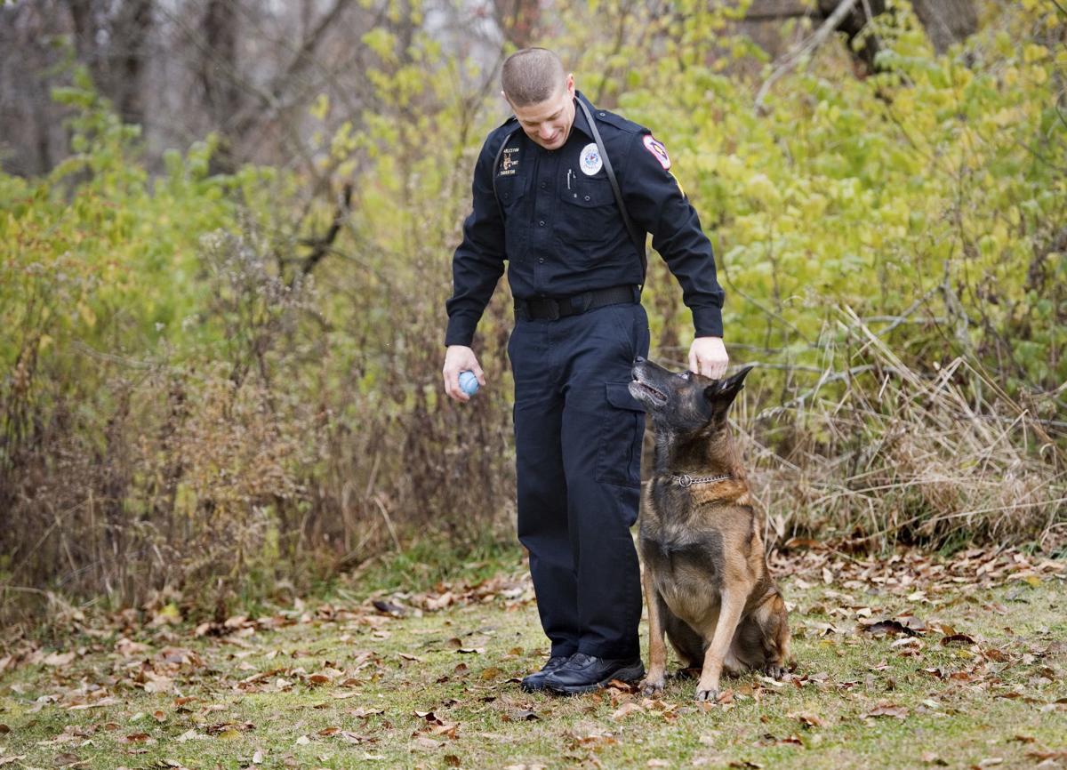 Retired Charleston Police K9 Dies Local Jg Tc Com