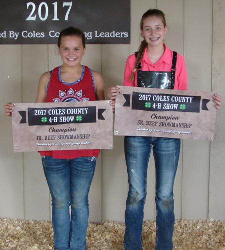Beef showmanship winners