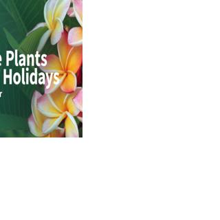 Winter brings new opportunities for plant care | Home & Garden