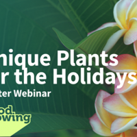 Winter brings new opportunities for plant care | Home & Garden Winter brings new opportunities for plant care | Home & Garden