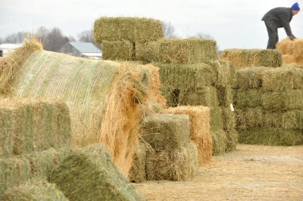 Cost Of Hay All About Supply And Demand News Jg Tc Com