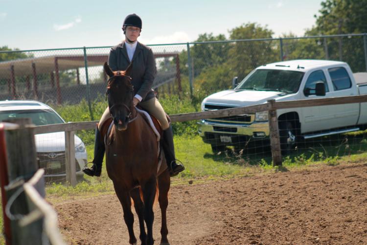 HORSE SHOW 2 (08/04/17)