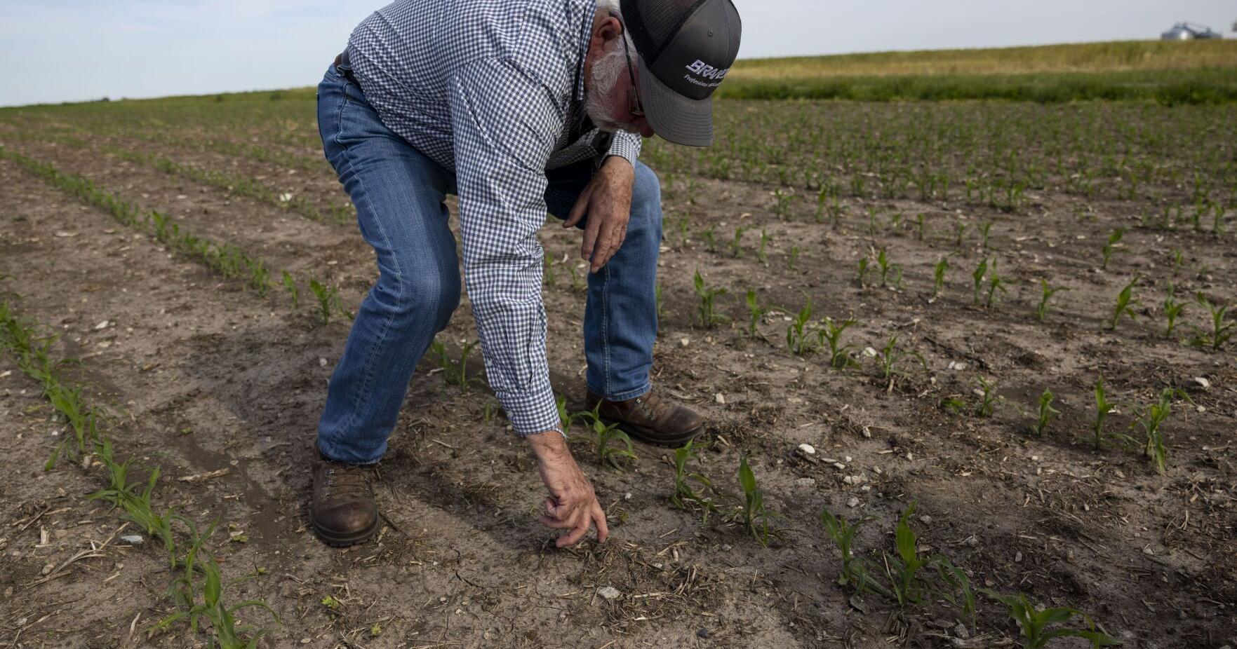 Fatal I-55 dust storm crash puts focus on Illinois farmers - Vimarsana News