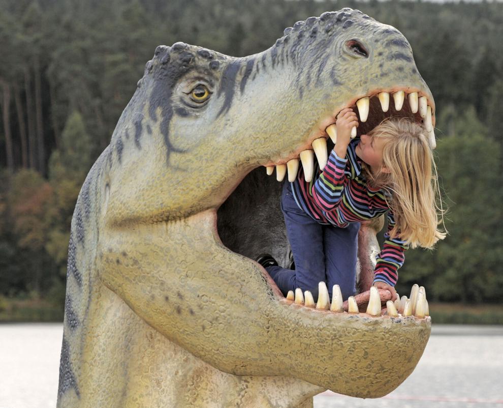 t rex looking dinosaur with horn on nose