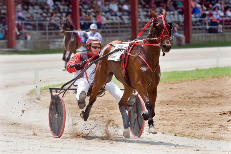 Coles County Fair - Harness Racing 08/03/17