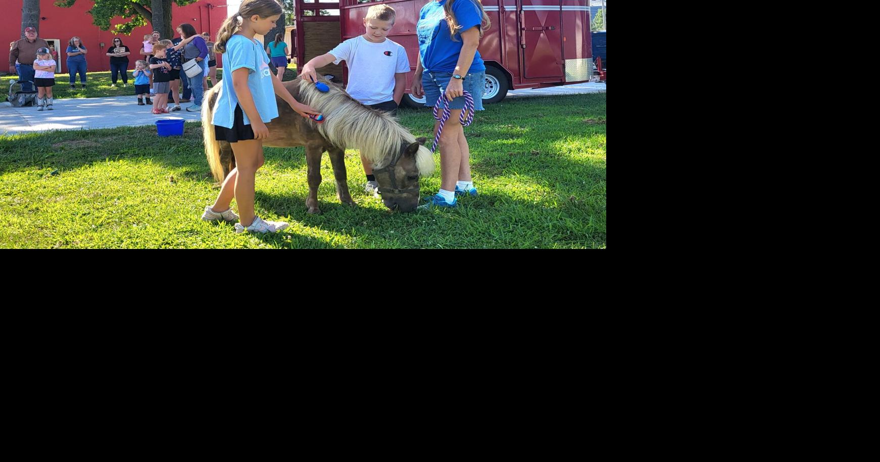 Miniature horse visits with children at Neoga library