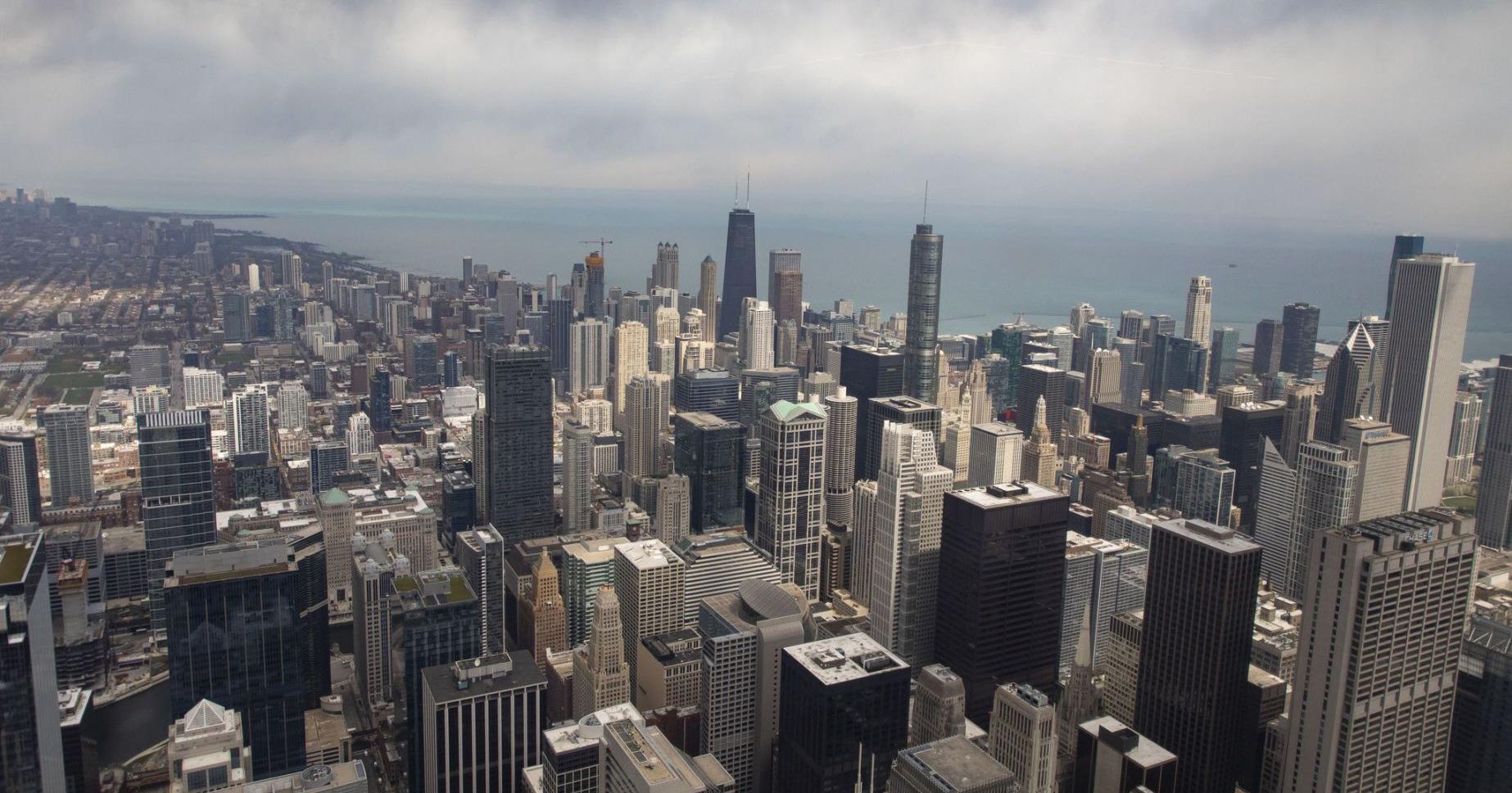 Almost 1,000 migrating birds die after crashing into Chicago building - Vimarsana News