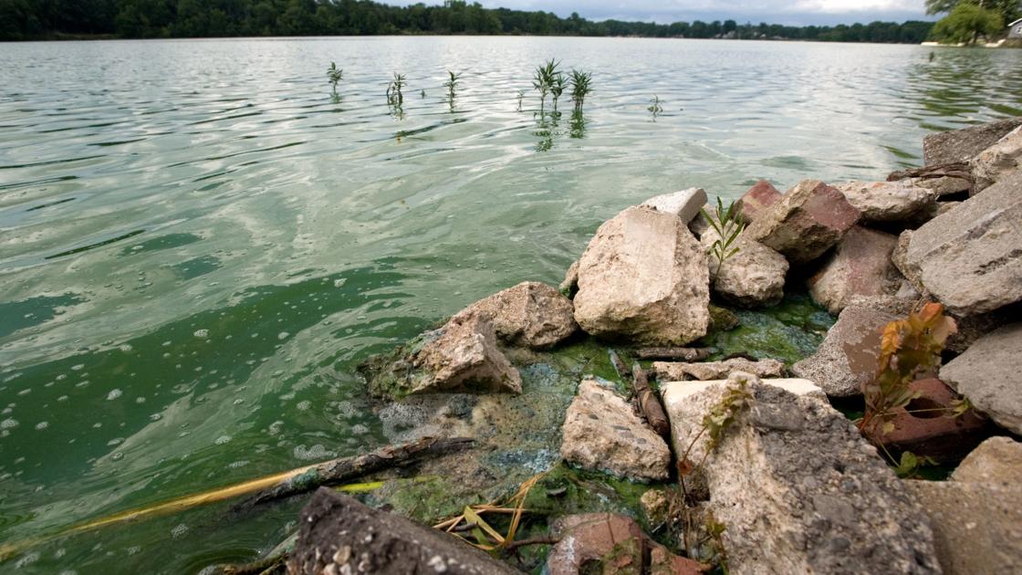 Illinois EPA launches annual Environmental Education Competition for ...