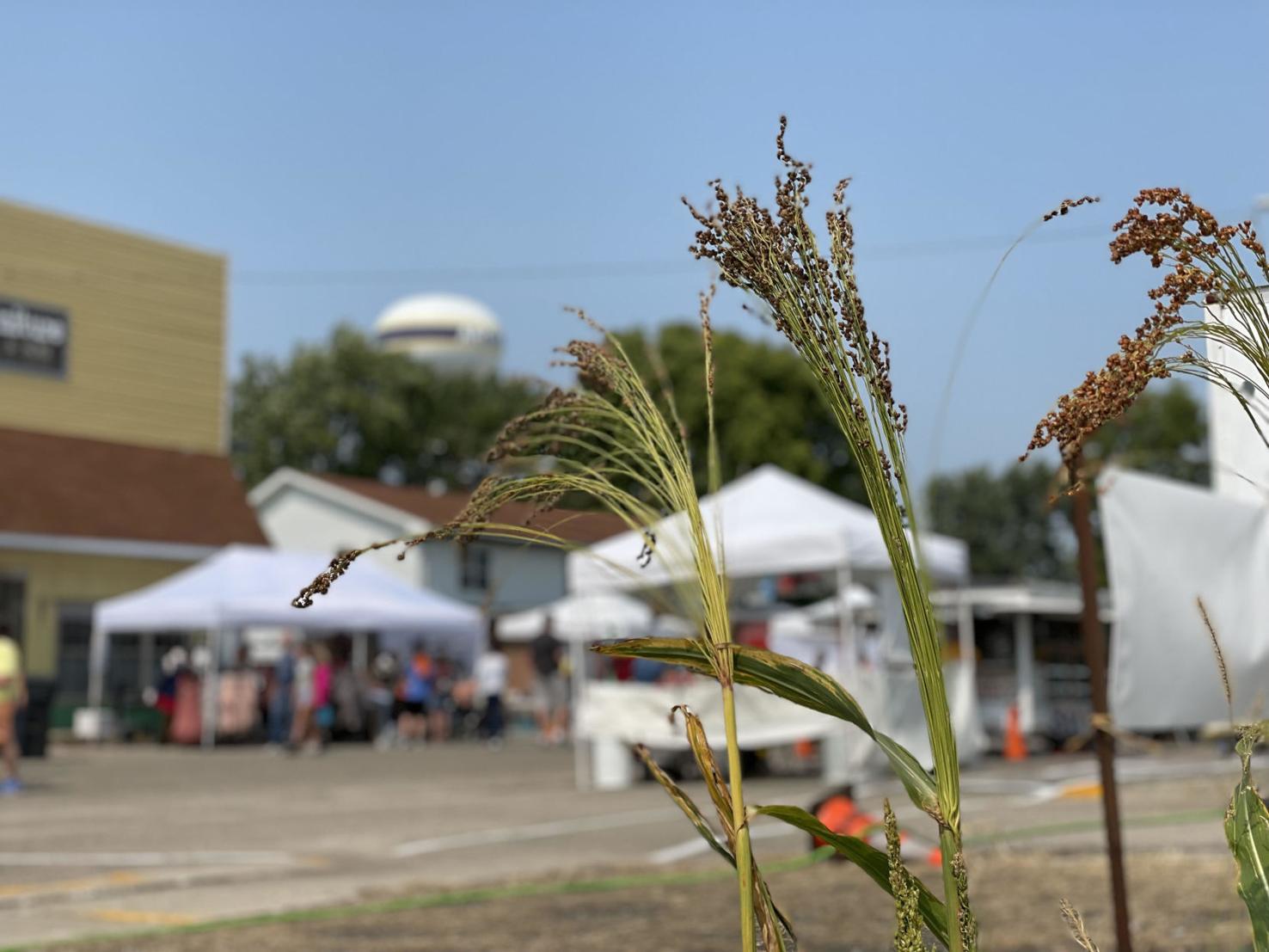 Broomcorn Festival sweeps into Arcola for 50th year