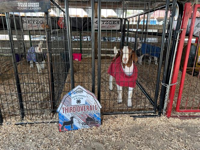 coles county fair