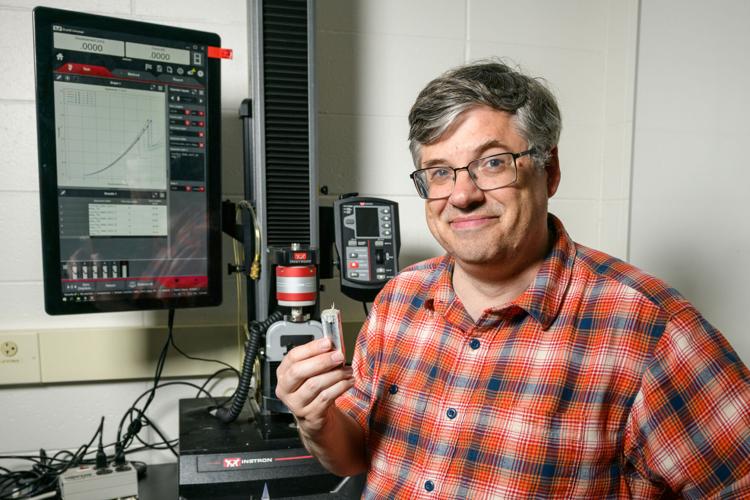 From cactus thorns to dinosaur teeth: Study analyzes biological puncture tool performance