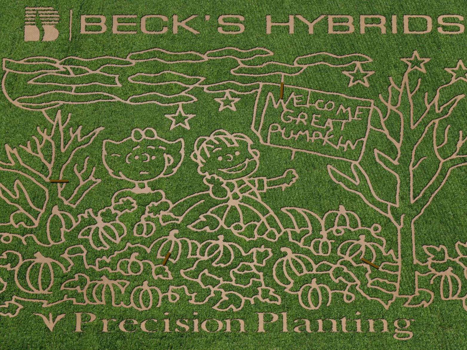 Peanuts Themed Corn Maze At Rader Farms Jg Tc Com