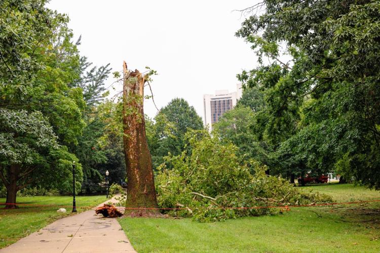 Illinois State assesses damage, adjusts Move-In after powerful storm hits campus