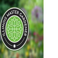 YARD AND GARDEN: Controlling the “bad guys” on your houseplants | Home & Garden