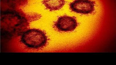 Douglas County Announces 5 More Coronavirus Cases Local Jg Tc Com