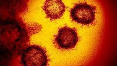 Douglas County Announces 5 More Coronavirus Cases Local Jg Tc Com