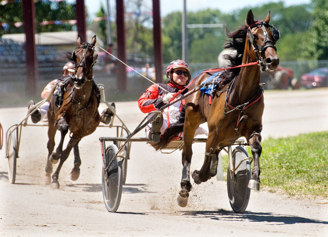 Coles County Fair harness race results