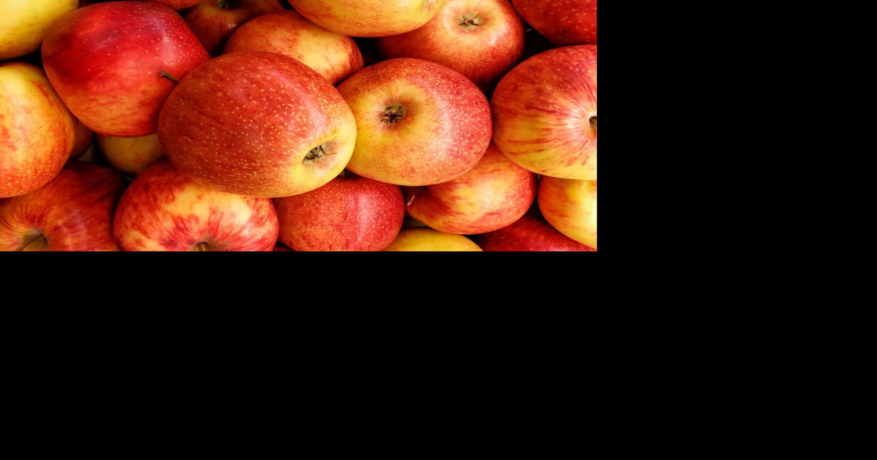 FACTS FOR FAMILIES: Three apple side dishes for fall
