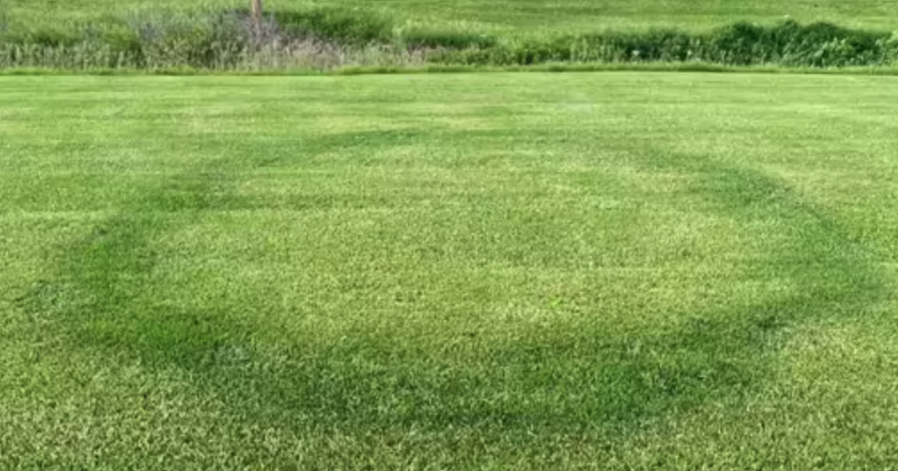 YARD AND GARDEN: What’s causing the circles in my lawn? Fairy rings