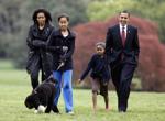 The Obamas and dog, Bo, 2009