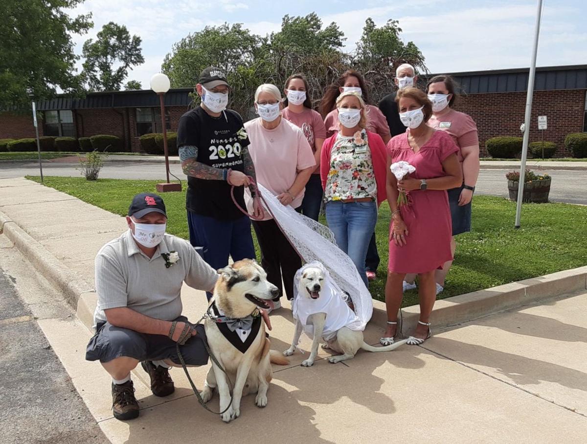 Canine wedding party