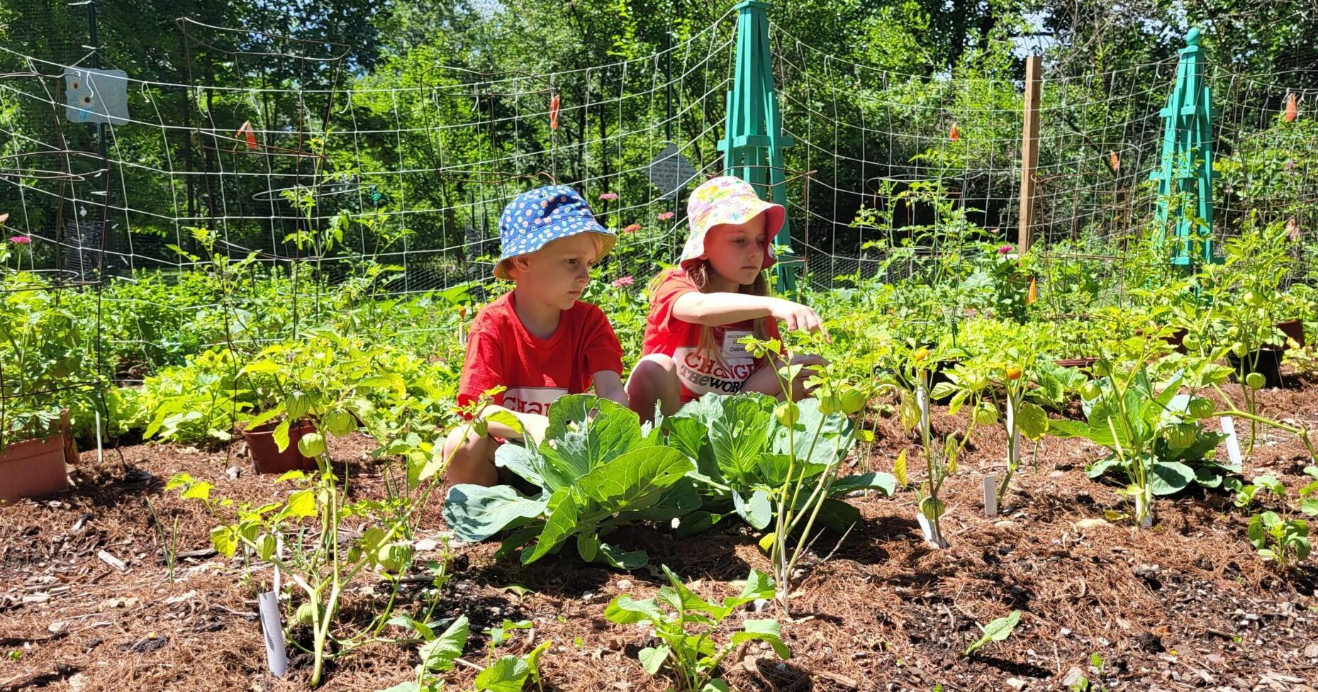 Charleston church dedicates climate-friendly community garden - Vimarsana News