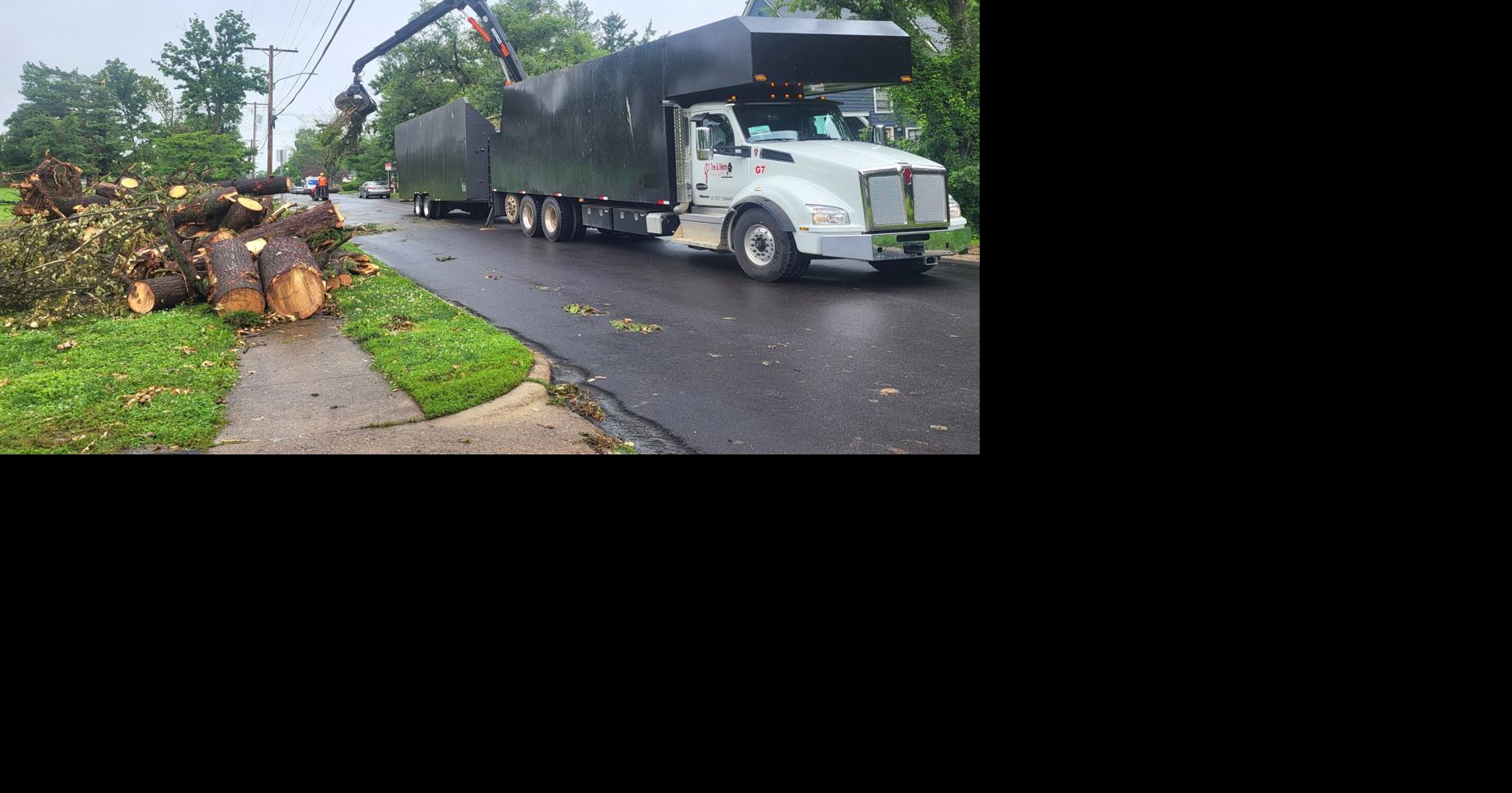 Charleston gets outside help clearing downed trees from July 4 parade route, other streets