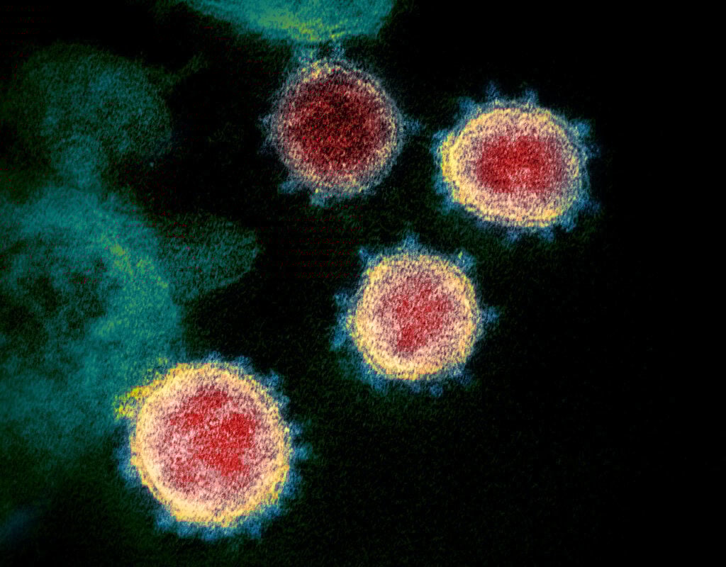 Coronavirus Outbreak