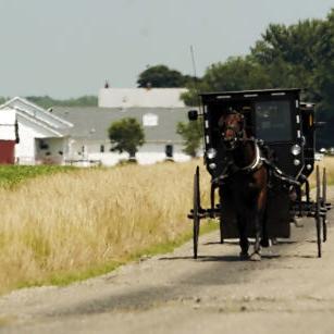 MY AMISH HOME: Putting your flip-flops on the wrong feet - Vimarsana News