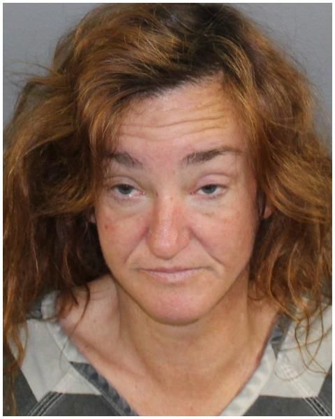 Charleston woman charged with arson after weekend house fire