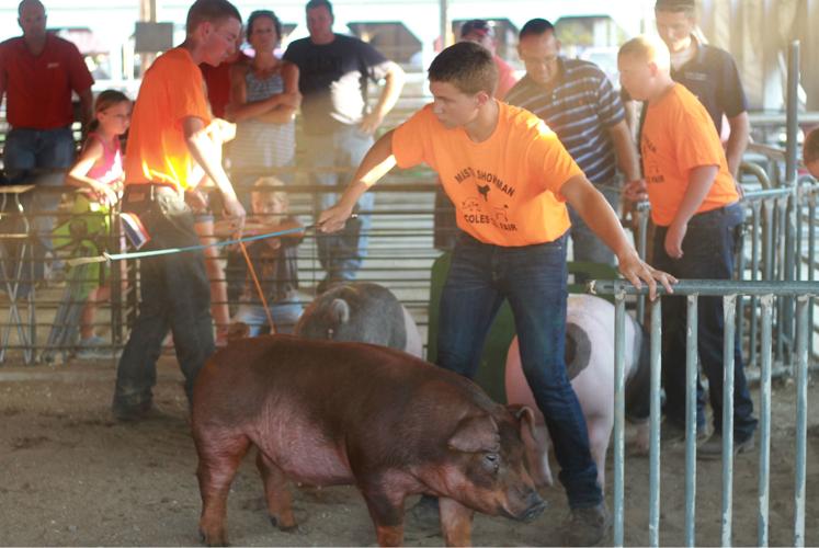 MASTER SHOWMANSHIP COMPETITION 3 (08/02/17)
