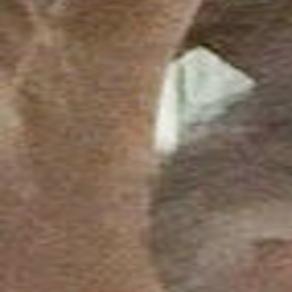 Joe Bailey Obituaries Jg Tc Com