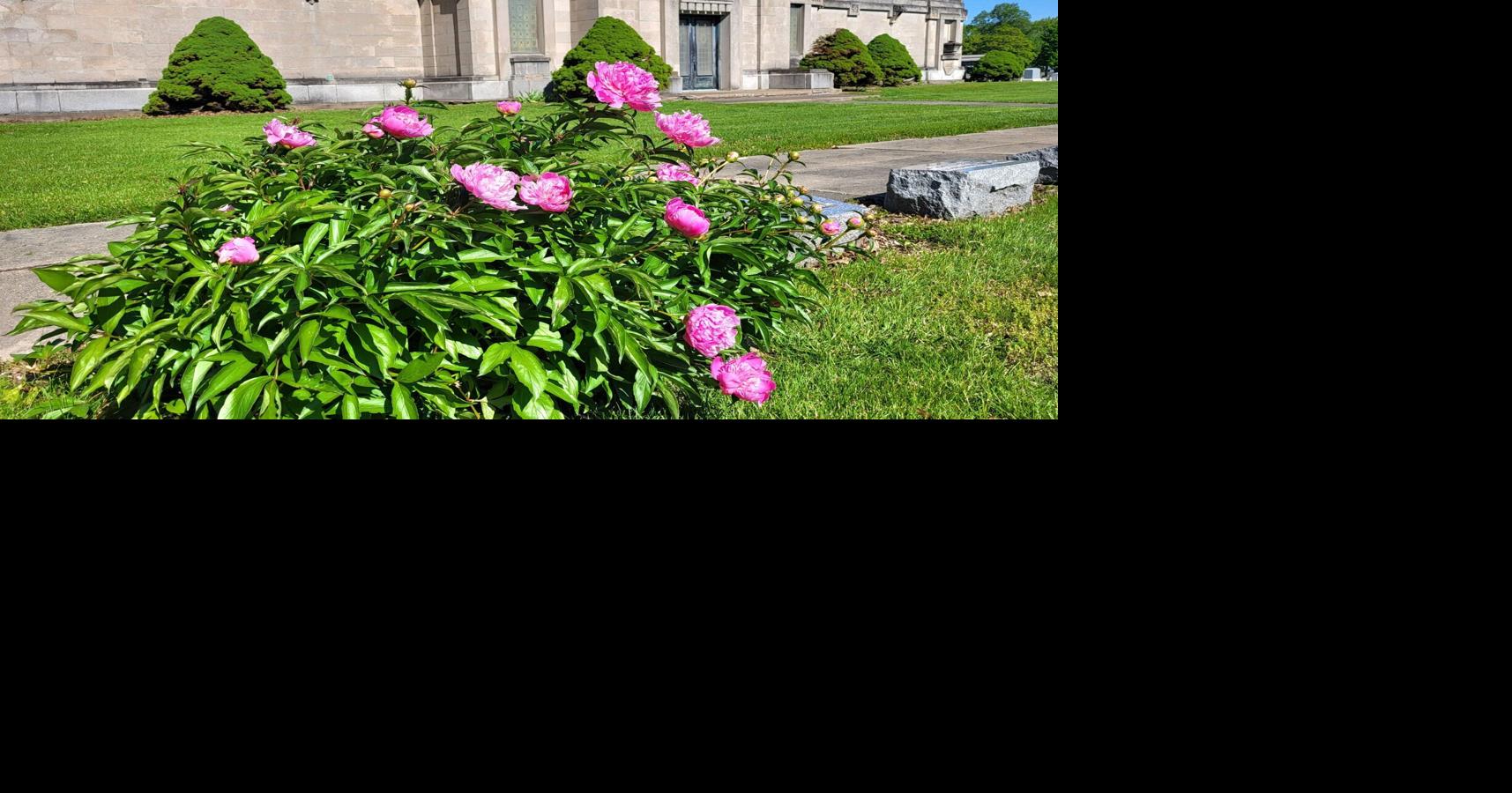 May 7 recap: Mattoon, Charleston & Coles County news you may have missed today