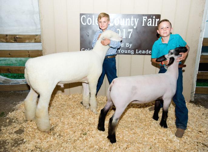 Coles County Fair - Supreme Champ. Ram Ewe 07/31/17