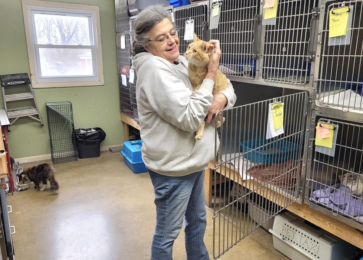 Coles County Animal Shelter seeking new storage building