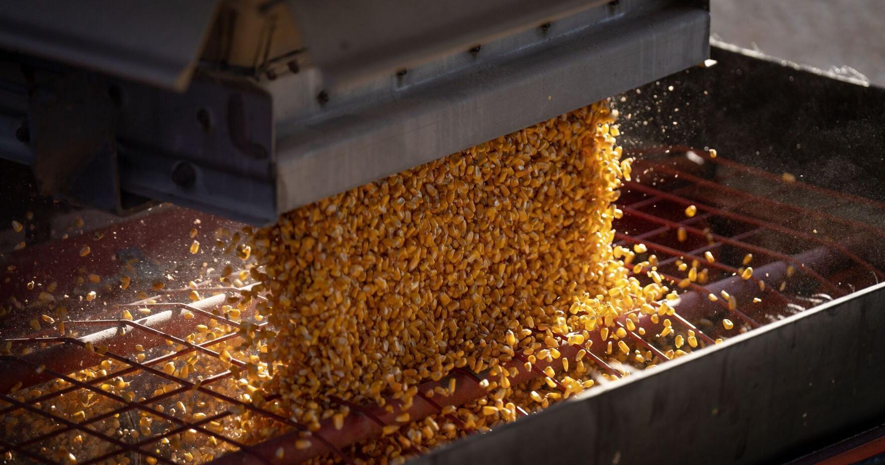 Westfield grain bin operator again cited for violating federal safety standards - Vimarsana News