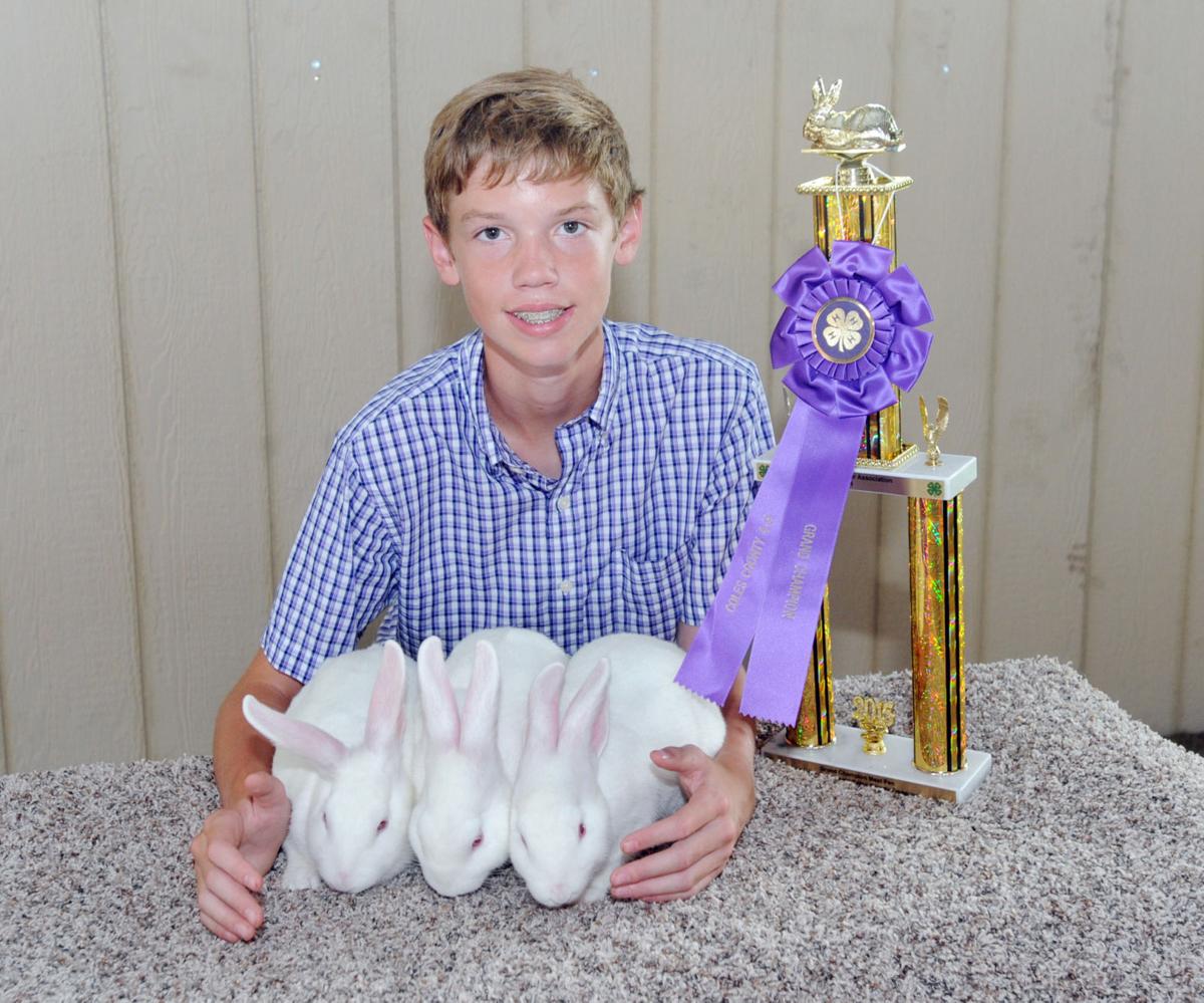 Hurst takes 4 awards at Coles 4-H rabbit show