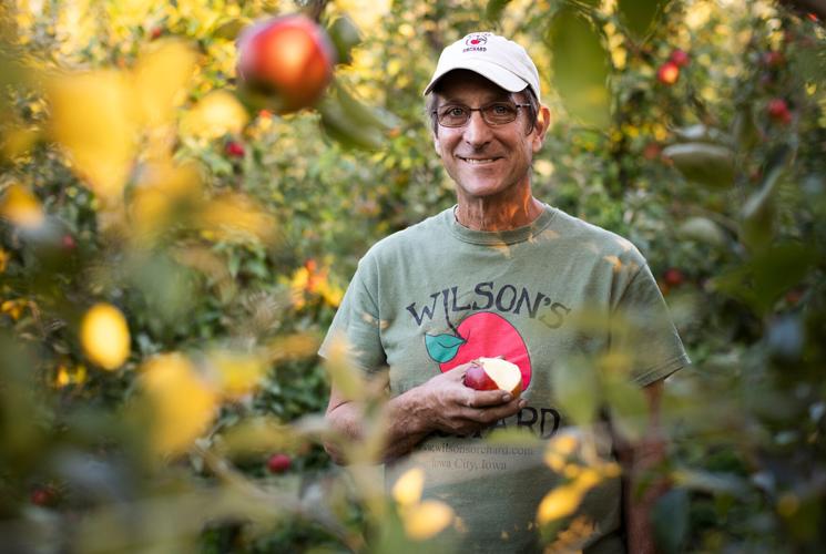Wilson's Orchard - Paul Rasch