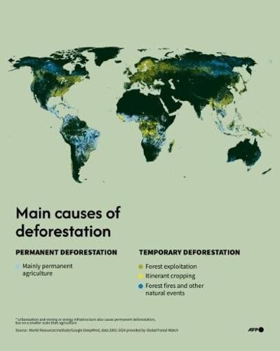 Main causes of deforestation
