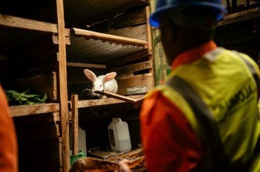 The biogas, which has been made by Umoja in Goma for 10 years, is produced by the decomposition of organic matter