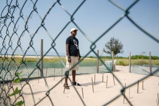 Nests under threat are moved to a hatchery, a fenced enclosure near the sea, where the eggs are kept safe until they are ready to hatch