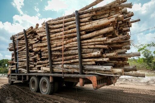 A truck loaded with trees cleared for industrial forestry in Lahei Mangkutup in Borneo's Central Kalimantan Province